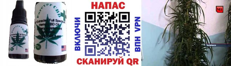 mega маркетплейс  Гвардейск  Еда ТГК конопля  где купить наркоту 
