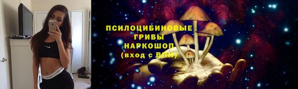 spice Магас