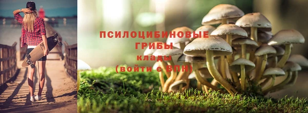 спайс Медвежьегорск