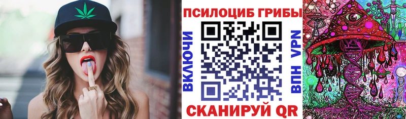 Галлюциногенные грибы мицелий  Гвардейск 